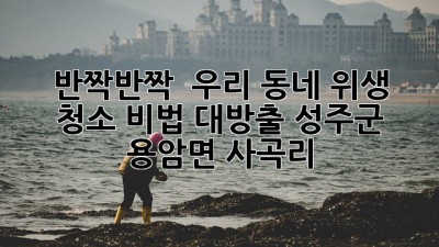 ✨ 반짝반짝 ✨ 우리 동네 위생 청소 비법 대방출! (성주군 용암면 사곡리) 🏡